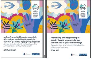 Опыт женских организаций