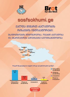ქალთა მიმართ ძალადობის რისკების ინდიკატორები: უსაფრთხოება, ოჯახში ძალადობა და მხარდაჭერის სერვისებზე ხელმისაწვდომობა