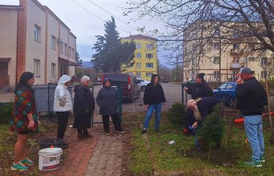 Гражданские инициативы - озеленение скверов