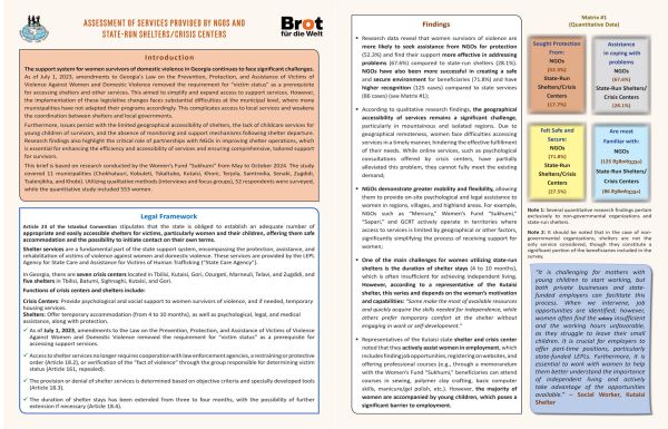 Assessing Effectiveness and Gaps in Shelters and Crisis Centers