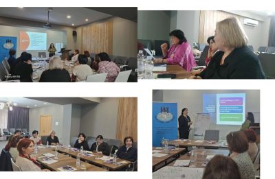 Professional Training on Technology-Facilitated Intimate Partner Violence