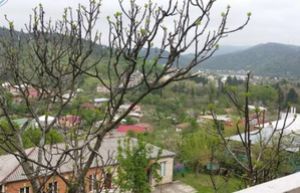 Женщины и дети в солнечном доме