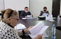 Activity of Vani working group